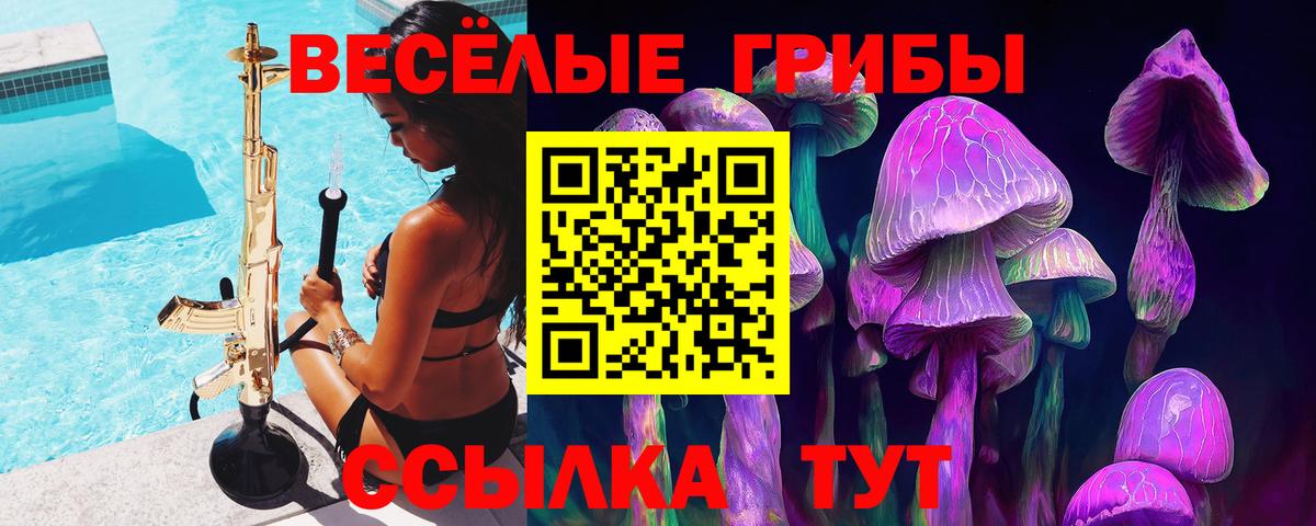 купить   Нарьян-Мар  Псилоцибиновые грибы ЛСД  Галлюциногенные грибы ЛСД 