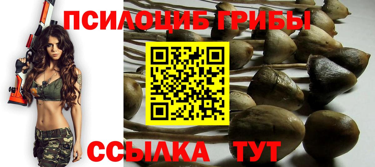 Псилоцибиновые грибы MAGIC MUSHROOMS  Вход с VPN  Нарьян-Мар 