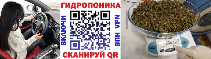 Конопля семена цены Нарьян-Мар